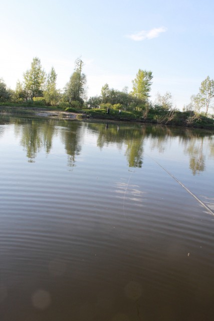 река лосиха алтайский край рыбалка