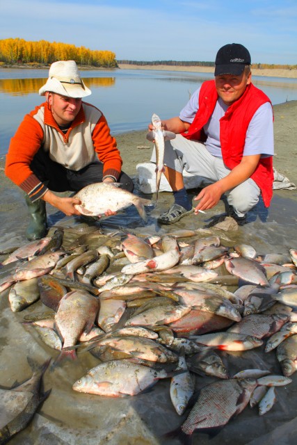 Рыболовство на реке Обь - секреты успешной ловли